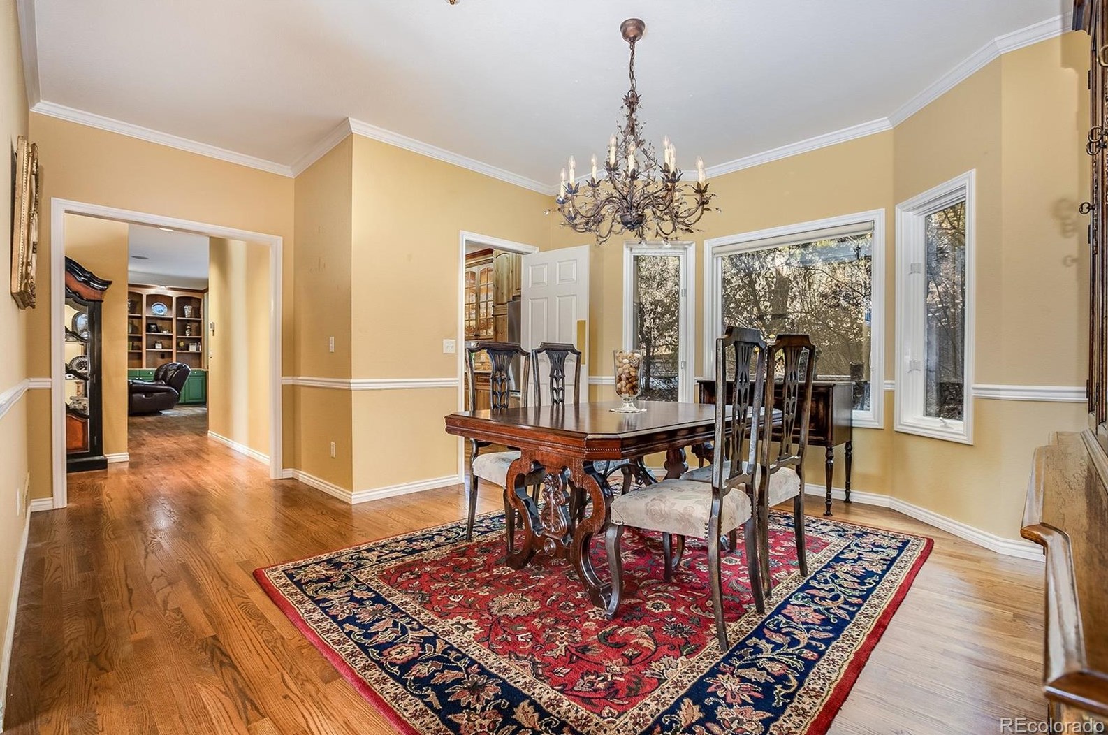 826 Good Hope Dr, Castle Rock CO 80108-9075 exterior