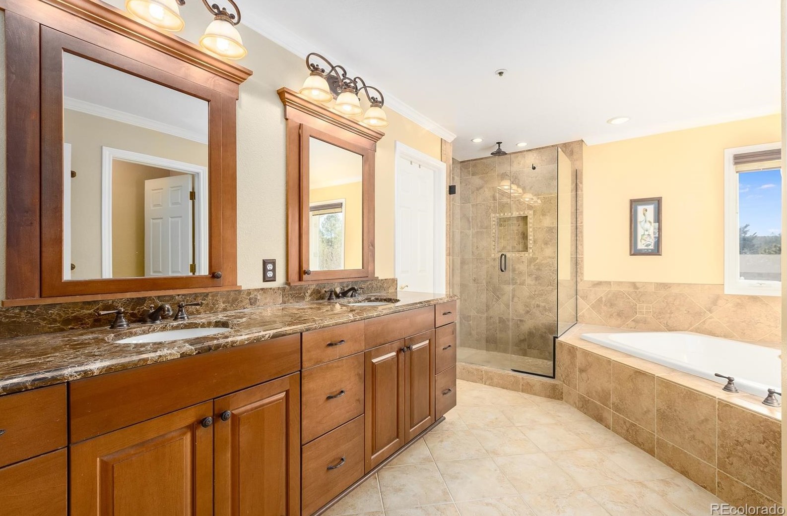 826 Good Hope Dr, Castle Rock CO 80108-9075 exterior