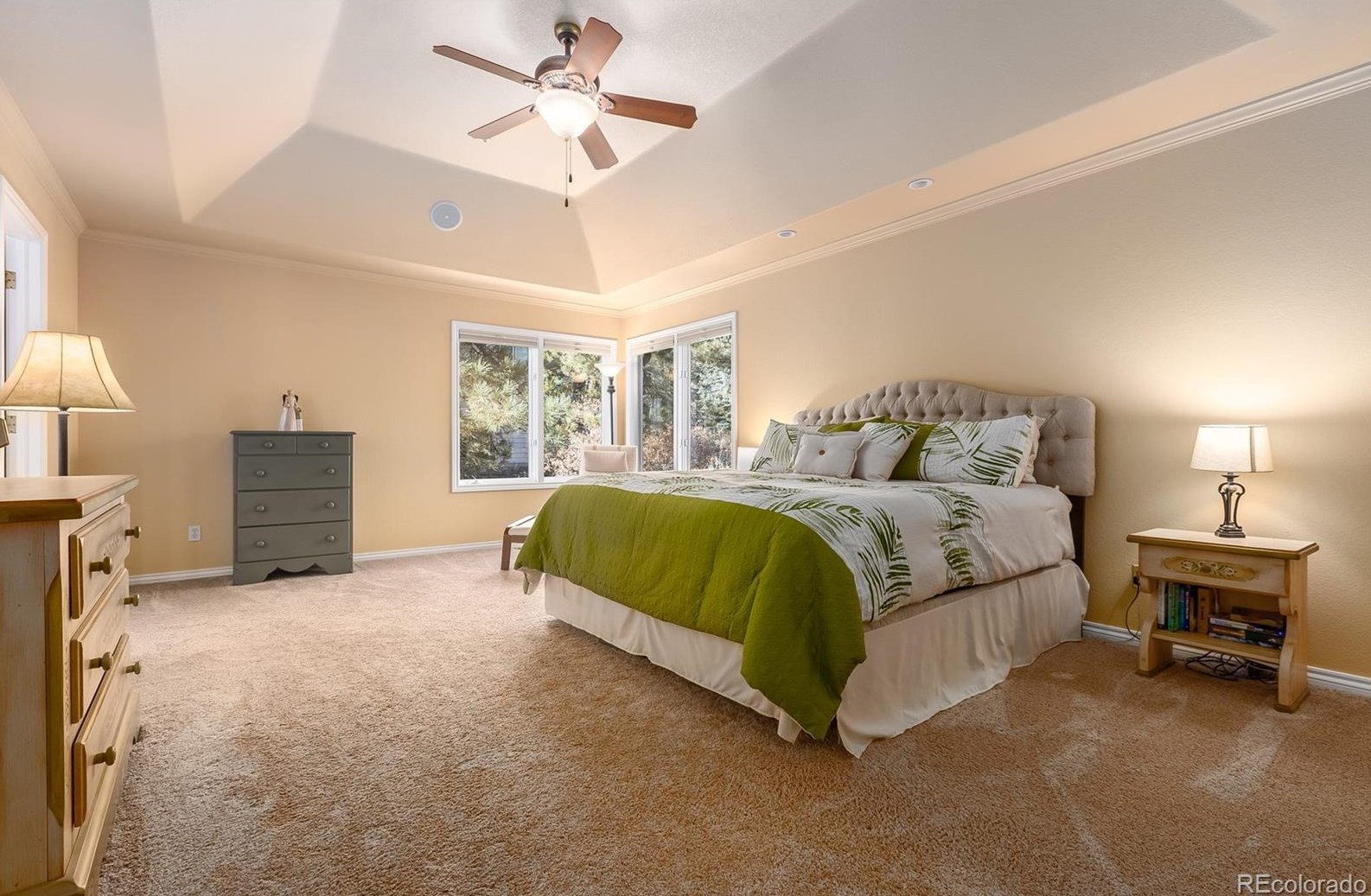 826 Good Hope Dr, Castle Rock CO 80108-9075 exterior