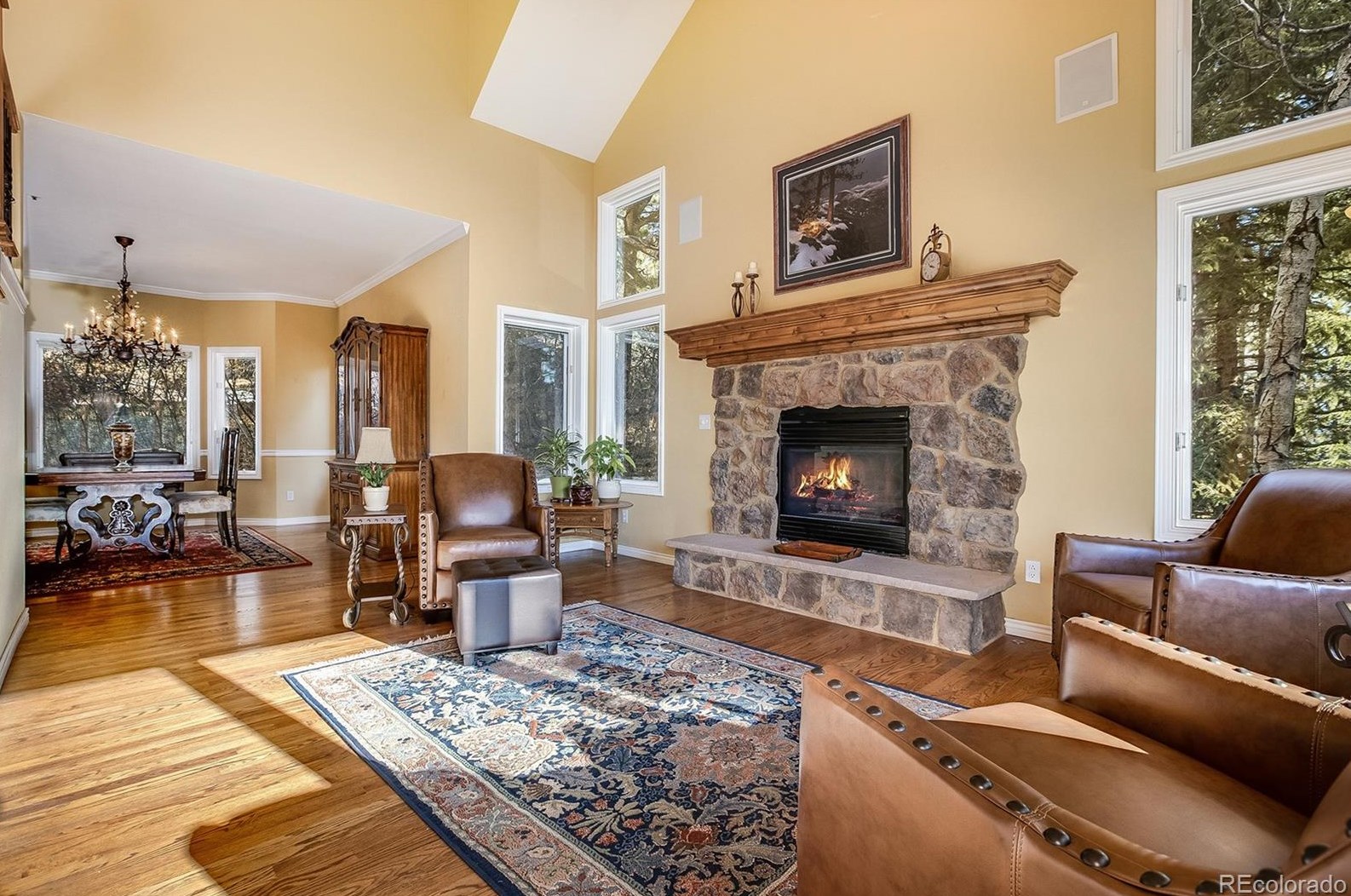 826 Good Hope Dr, Castle Rock CO 80108-9075 exterior