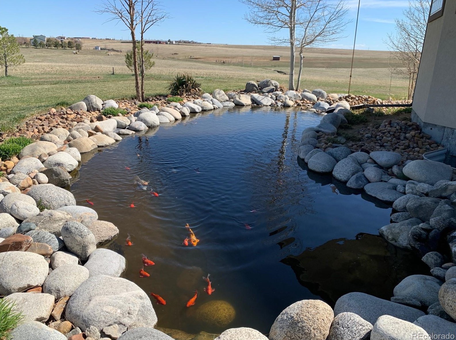 14201 Cavanaugh Rd, Hudson, CO 80642