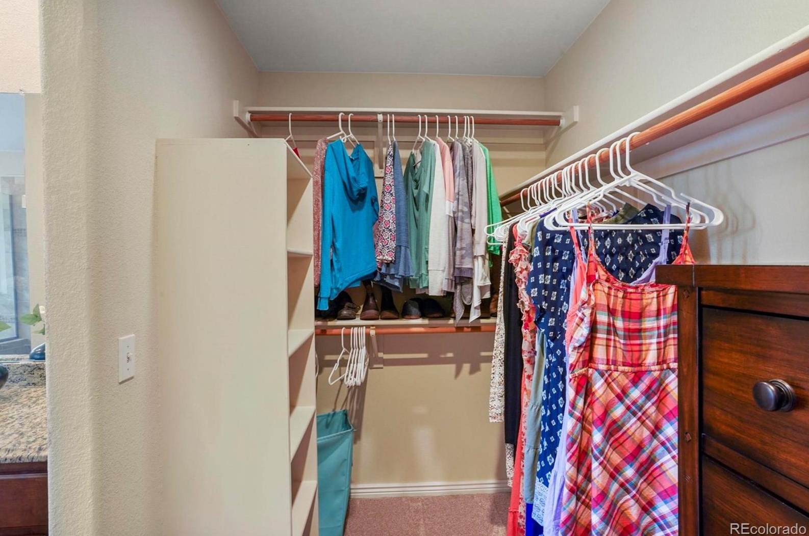 10484 Hollyhock Ct, Littleton CO 80129-6312 exterior