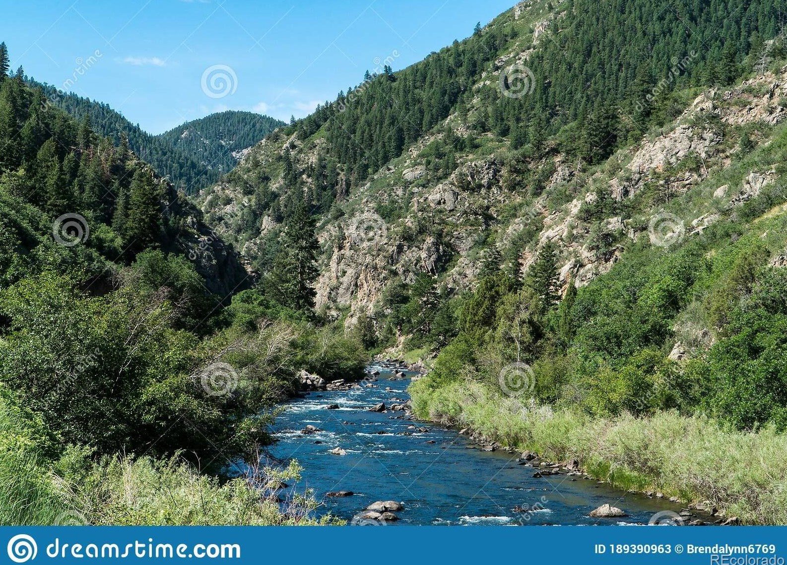 9740 Marmot Rdg Cir, Littleton CO 80125-8887 exterior