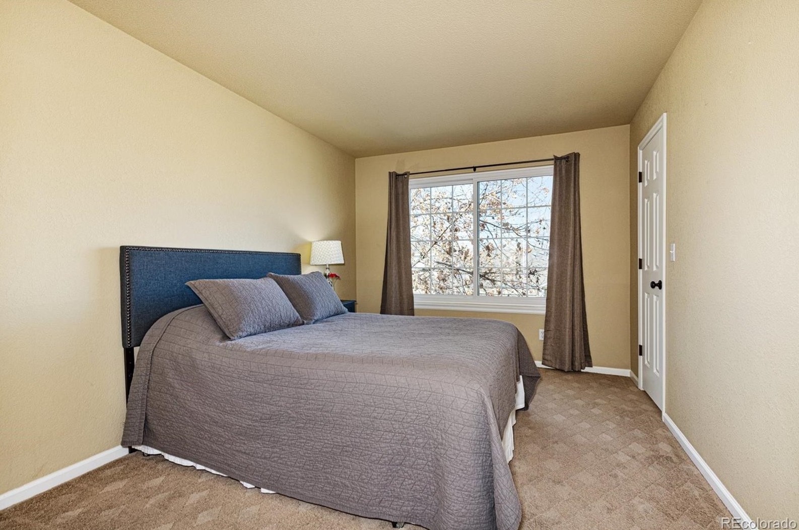 9441 Morning Glory Ln, Littleton CO 80130-4495 exterior