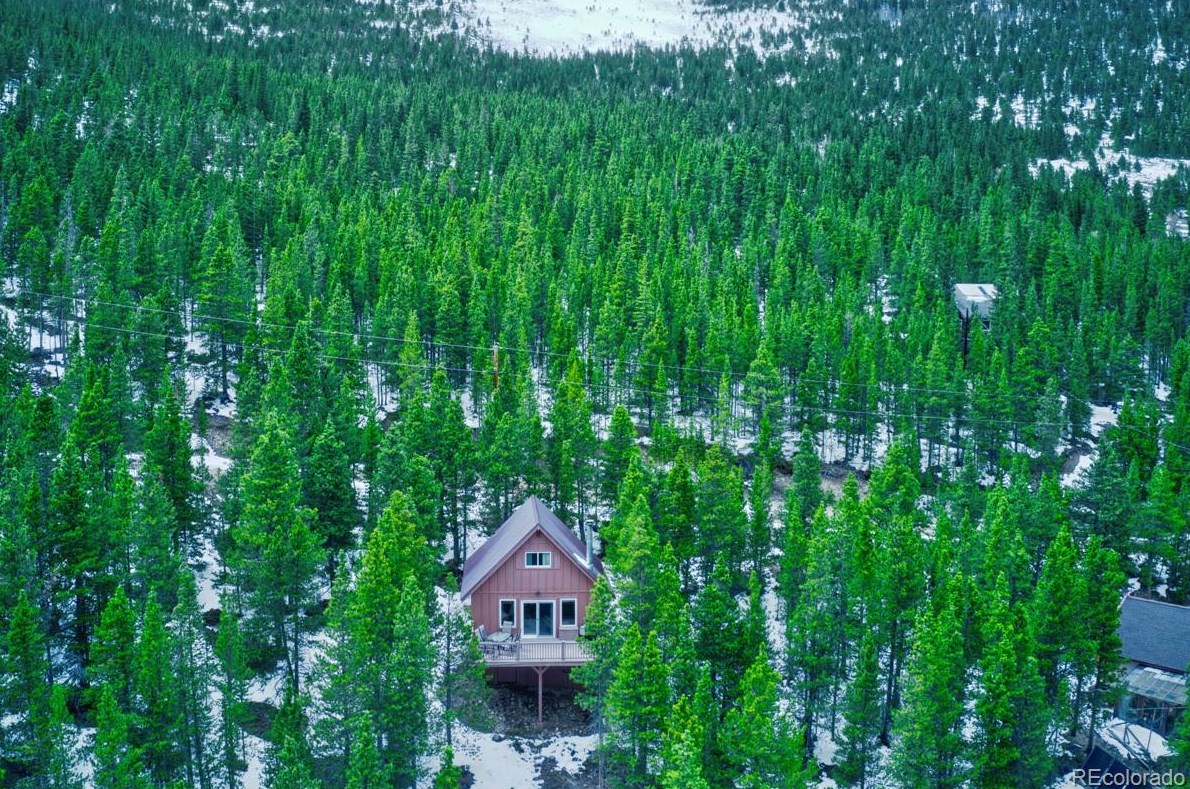 152 Hillside Rd, Idaho Springs, CO 80452-9719