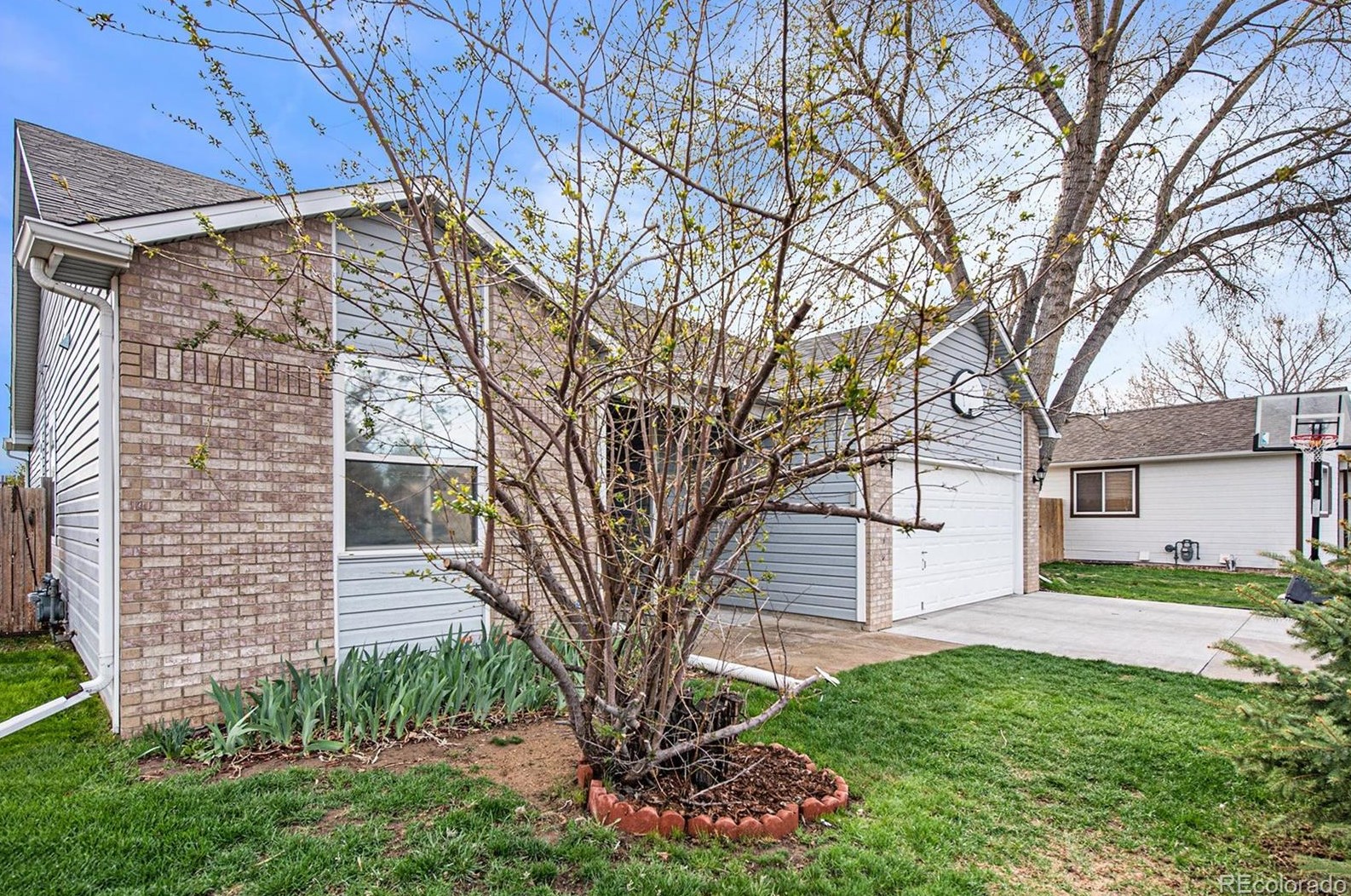 606 Aspen Cir, Longmont, CO 80530-8007