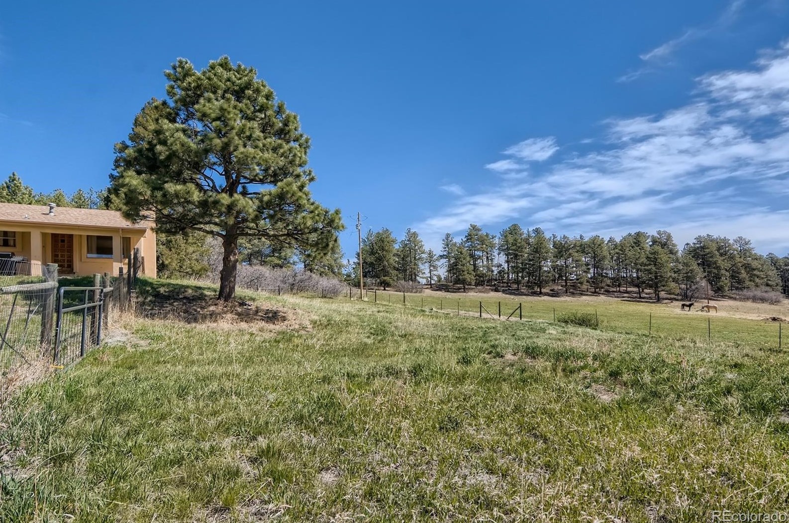 13340 Perry Park Rd, Palmer Lake CO 80118-6503 exterior