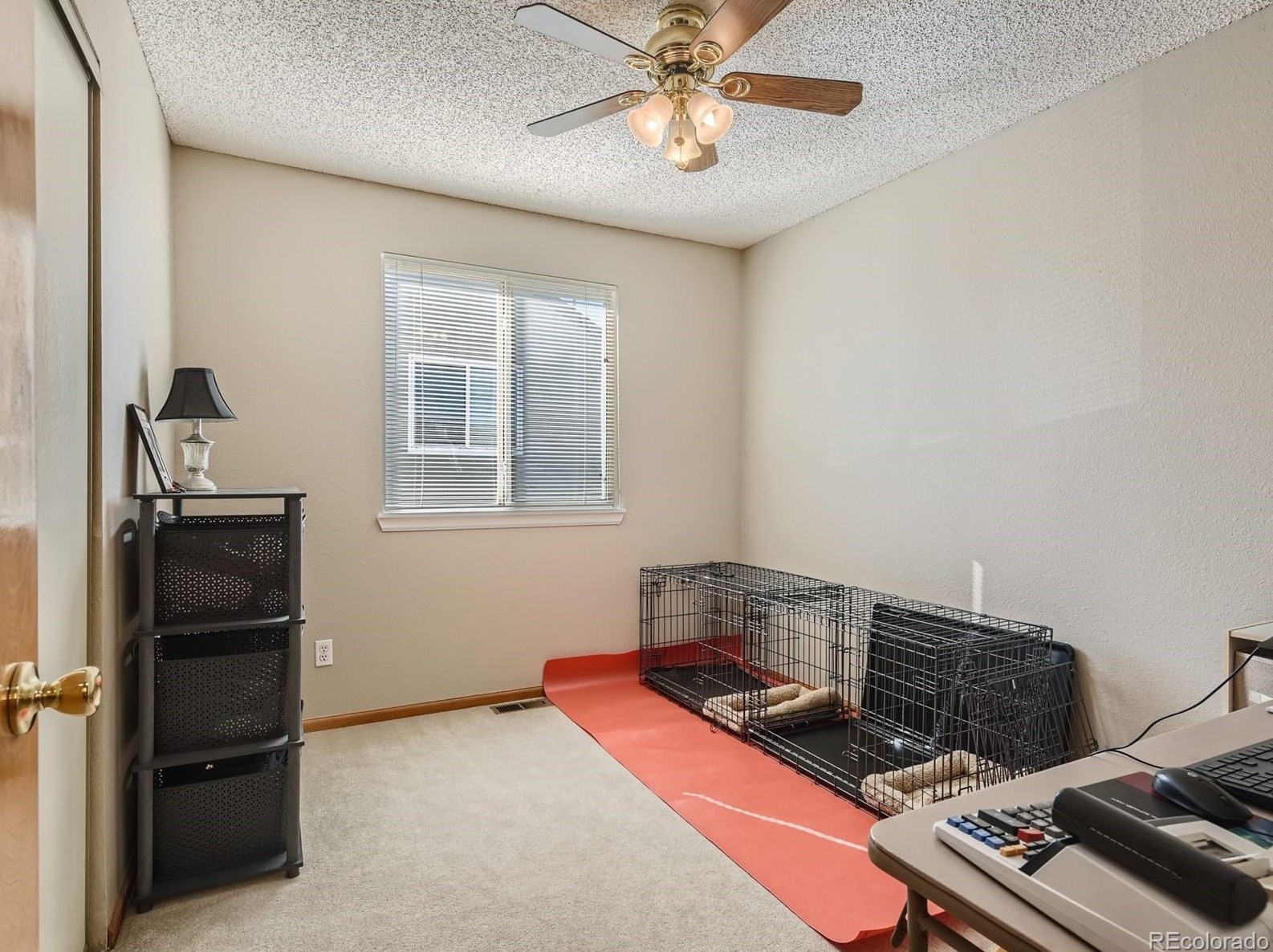 10203 Woodrose Ln, Littleton CO 80129-5418 exterior