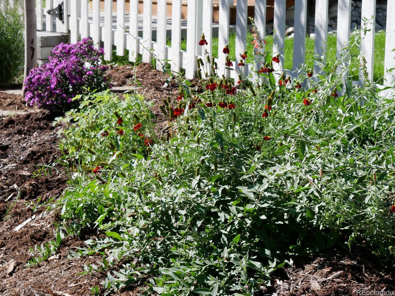 210 Cleveland St, Lafayette CO 80026-2342 exterior