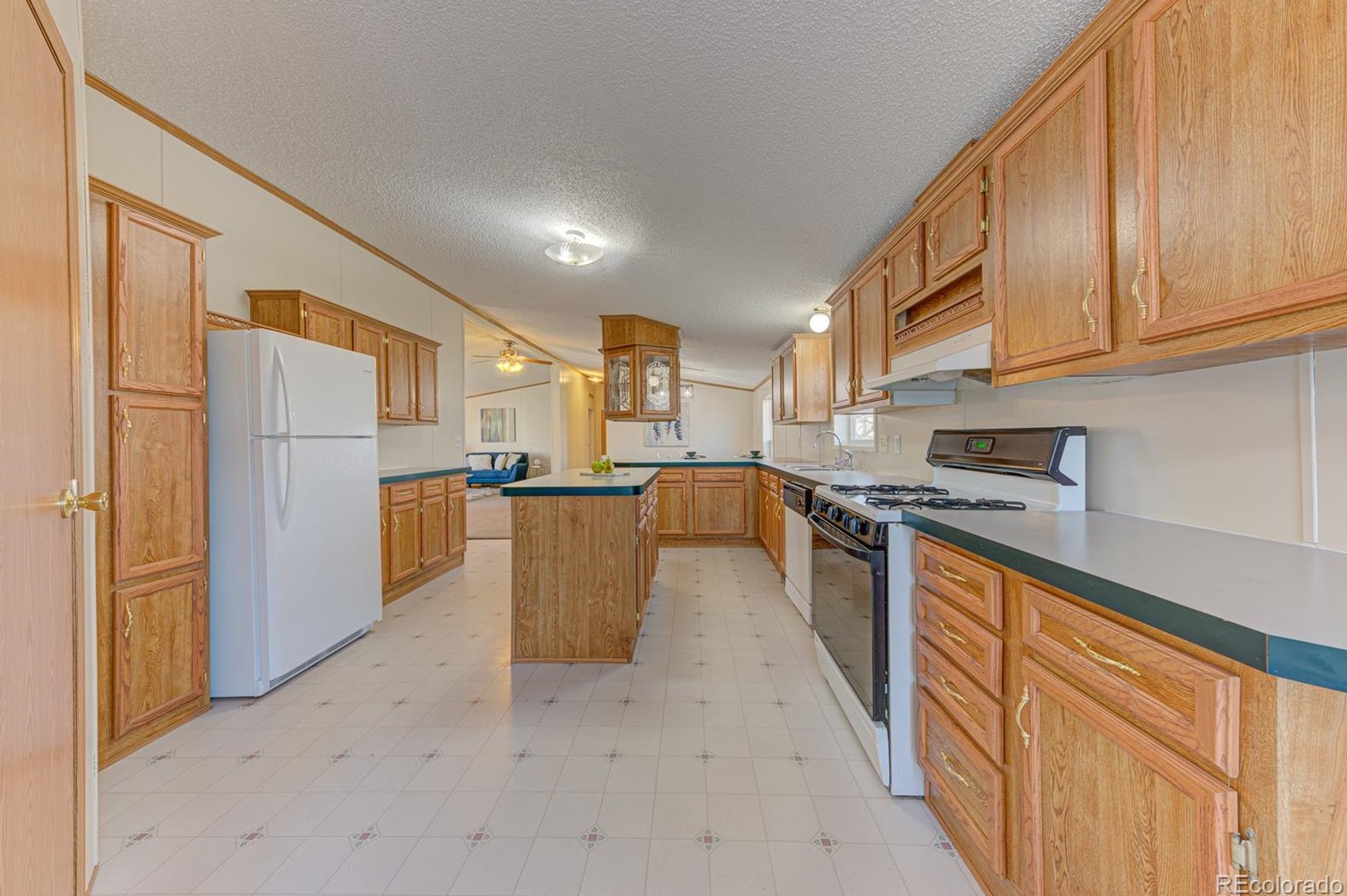 570 1st St, Bennett CO 80102-8604 exterior