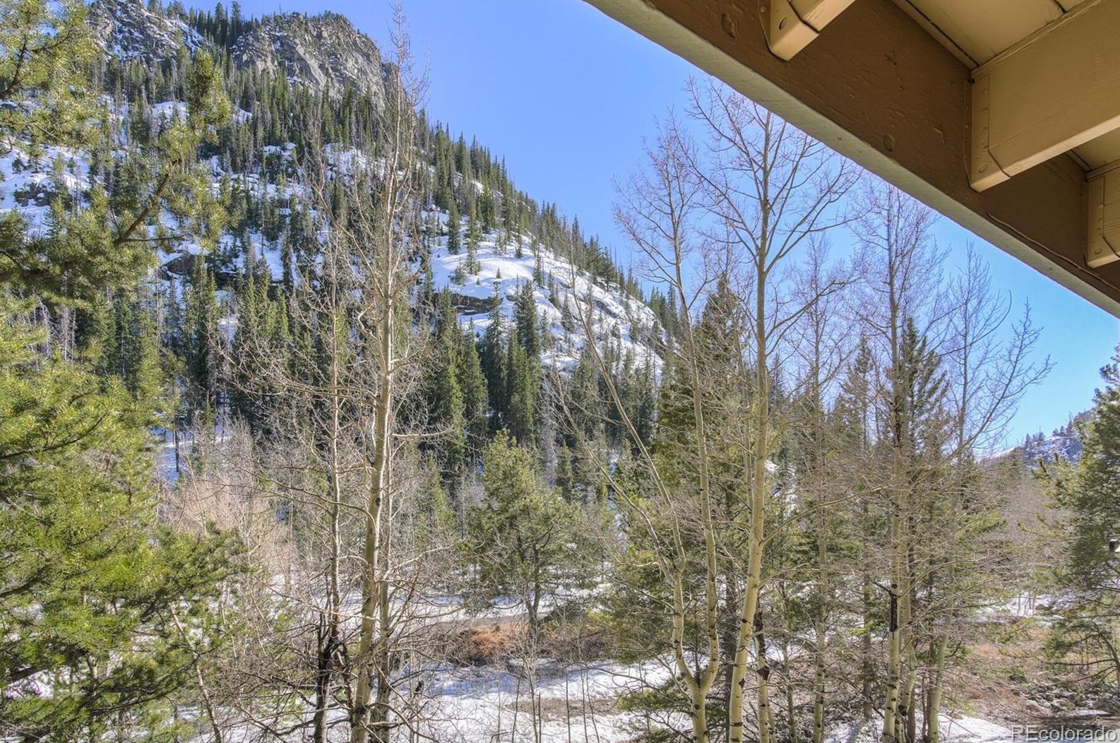 400 W Main St #102, Copper Mountain, CO 80443