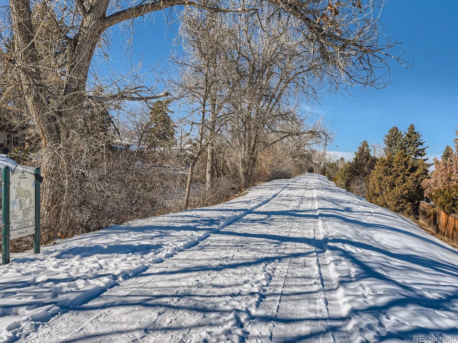 1115 Hinsdale Dr, Littleton CO  80120-4141 exterior