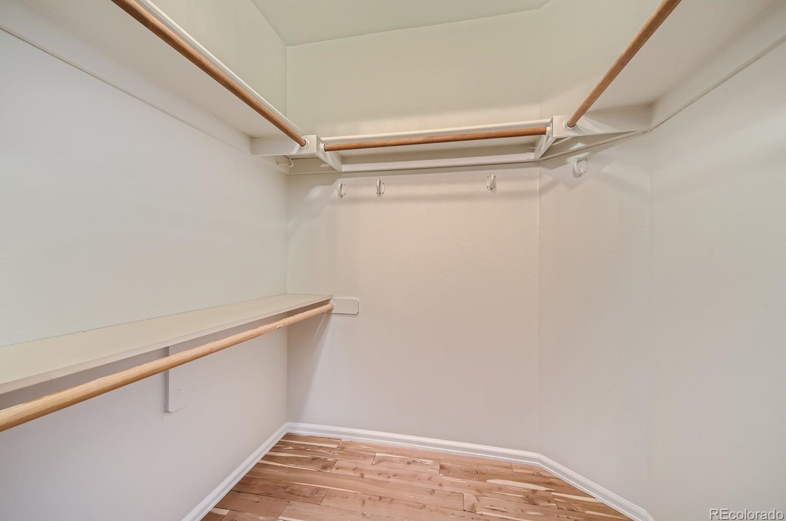 20 Abernathy Ct, Littleton CO  80130-3910 exterior