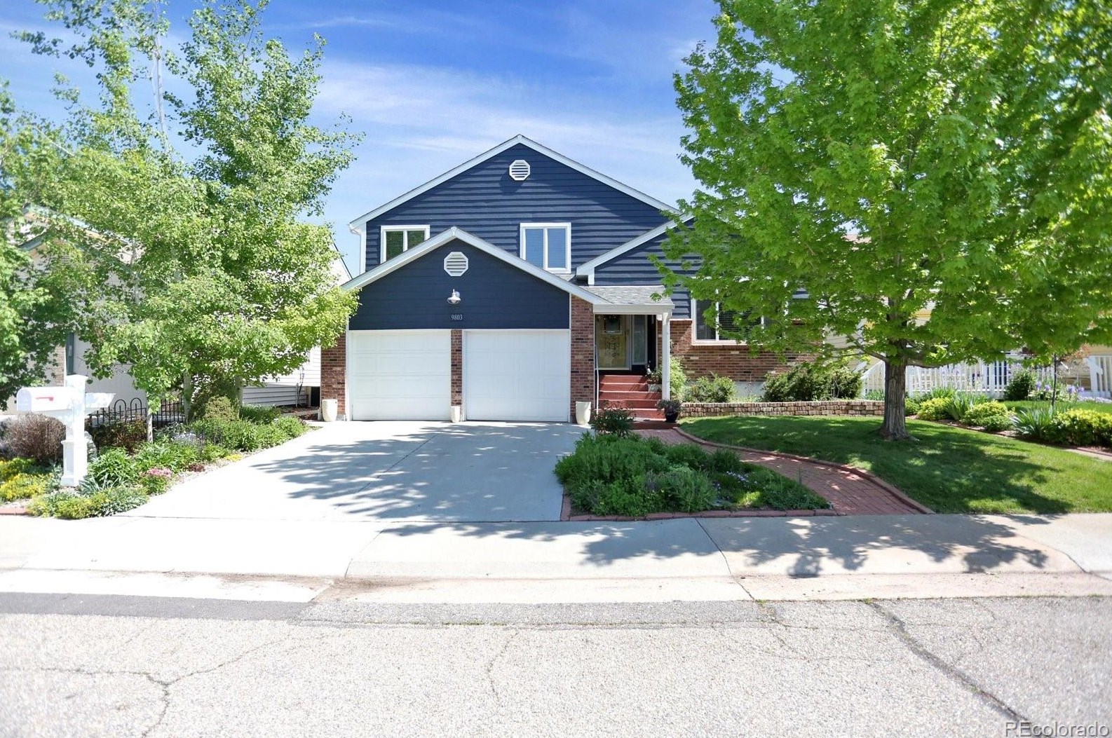 9803 83rd Ave, Arvada, CO 80005