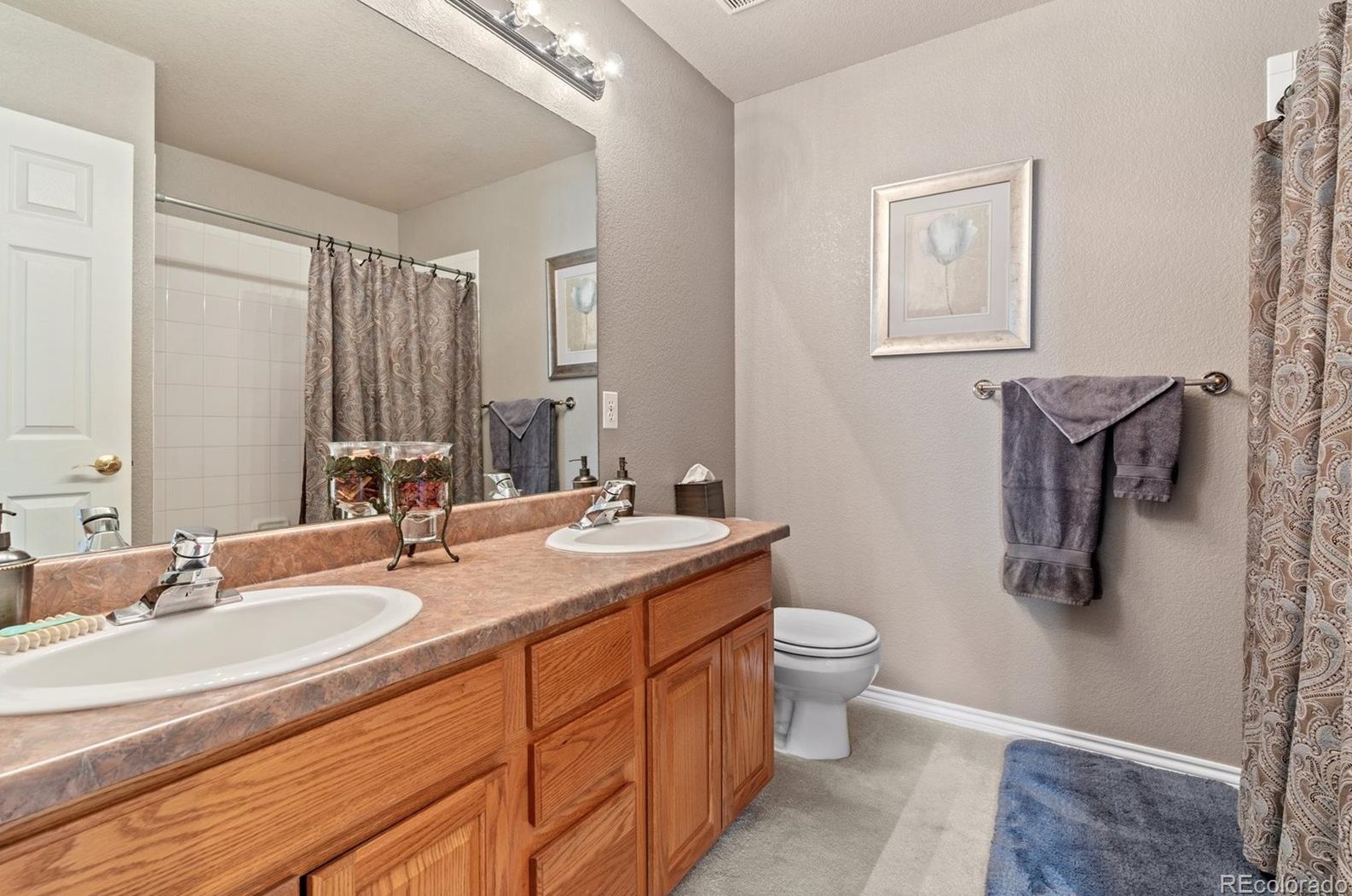 8347 Vivian St, Arvada CO  80005-5277 exterior