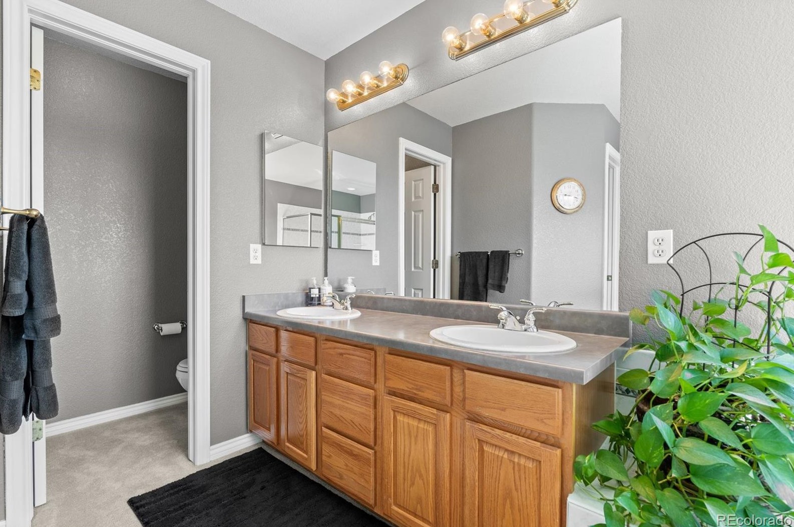 8347 Vivian St, Arvada CO  80005-5277 exterior