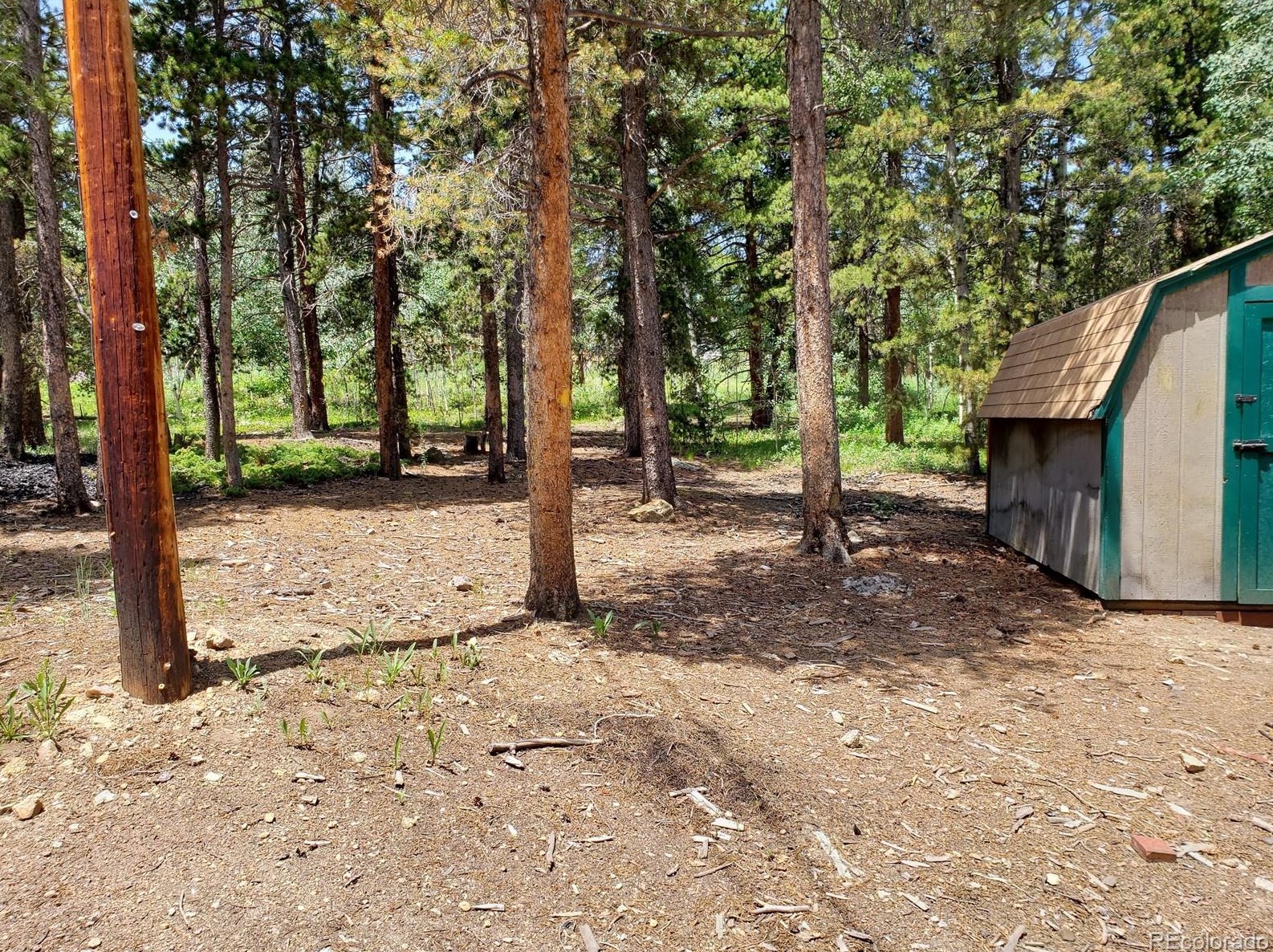 125 Lodge Pole Dr, Arvada CO  80422-8948 exterior