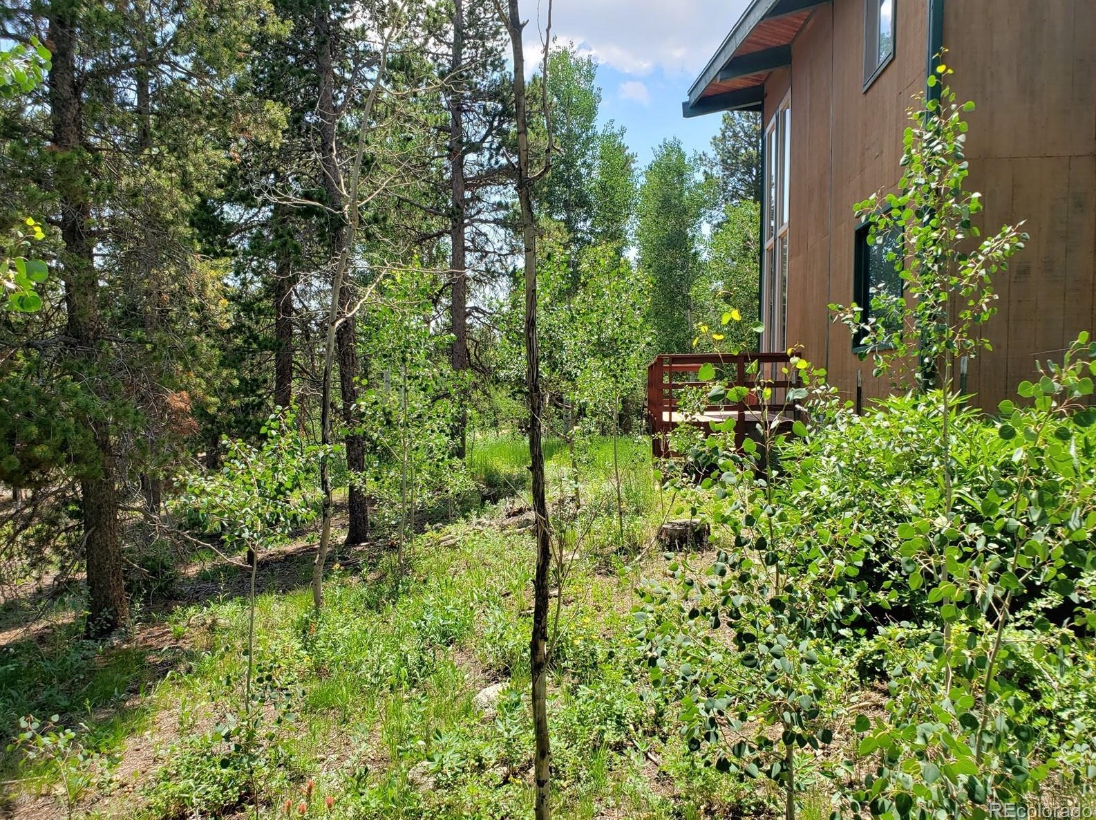 125 Lodge Pole Dr, Arvada CO  80422-8948 exterior