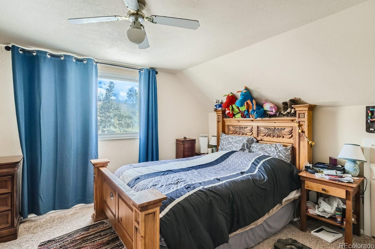 199 Geil Ln, Montezuma, CO 80435