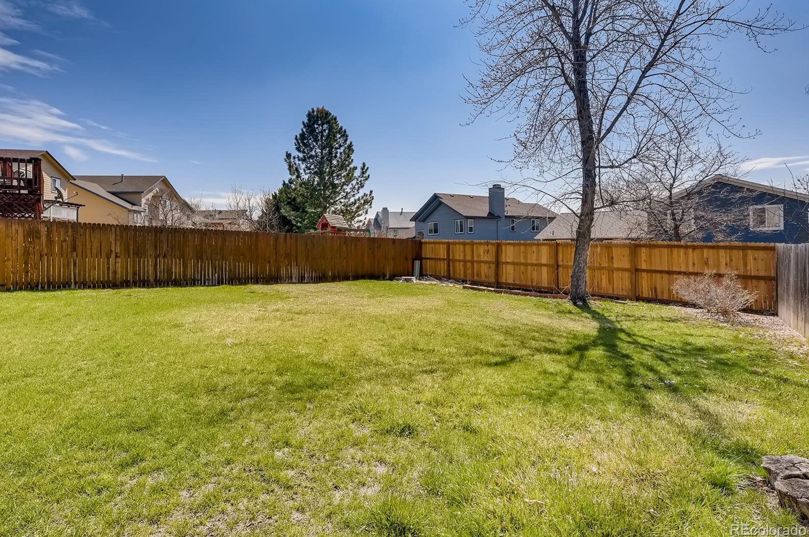 6425 Wright St, Littleton CO 80127-4800 exterior