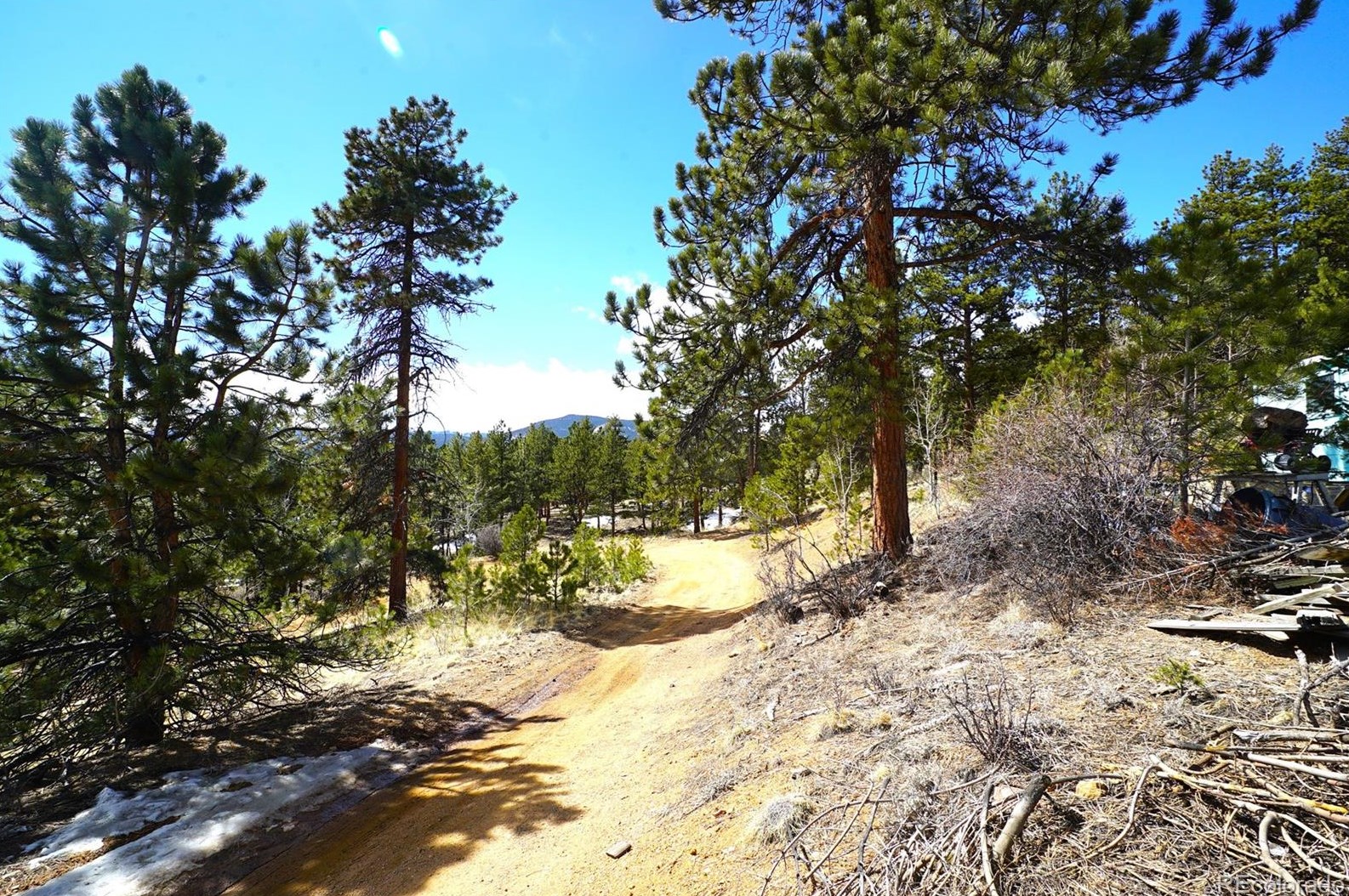 119 Six Bits St, Bailey, CO 80421-1031