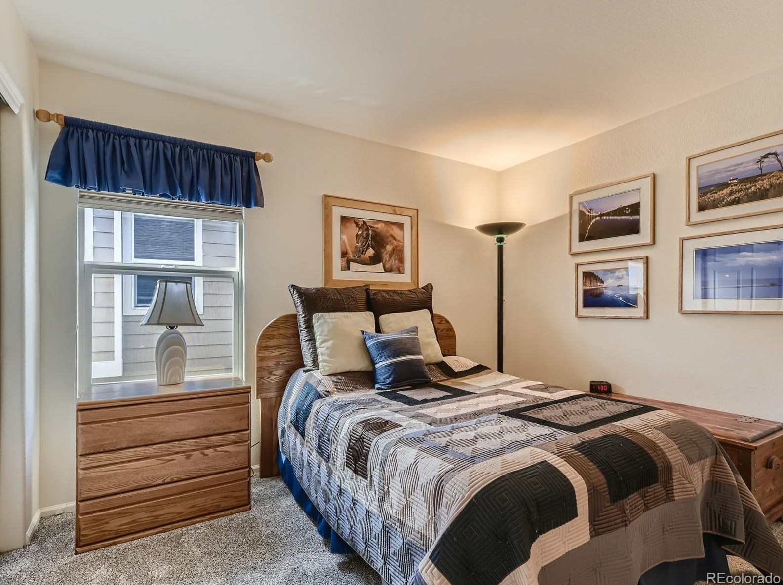 10563 Polk Pl, Littleton CO 80123-3150 exterior