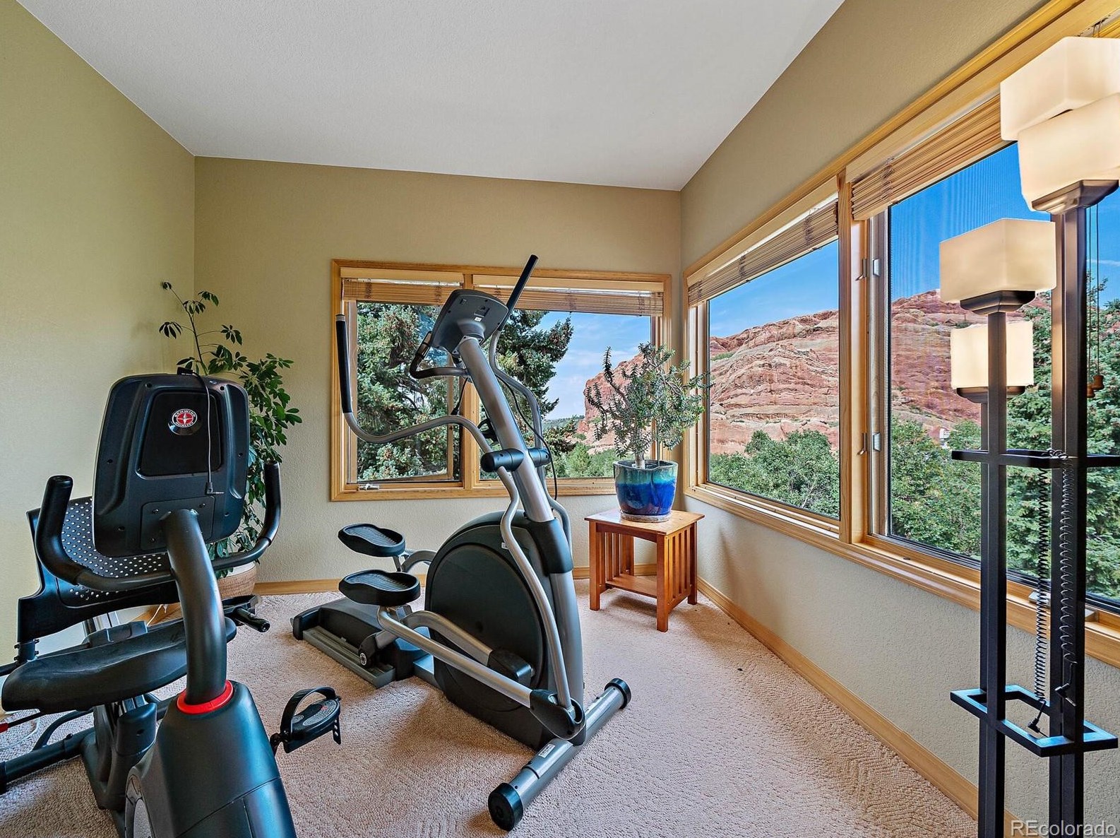 10337 Totem Run, Littleton CO 80125-9009 exterior