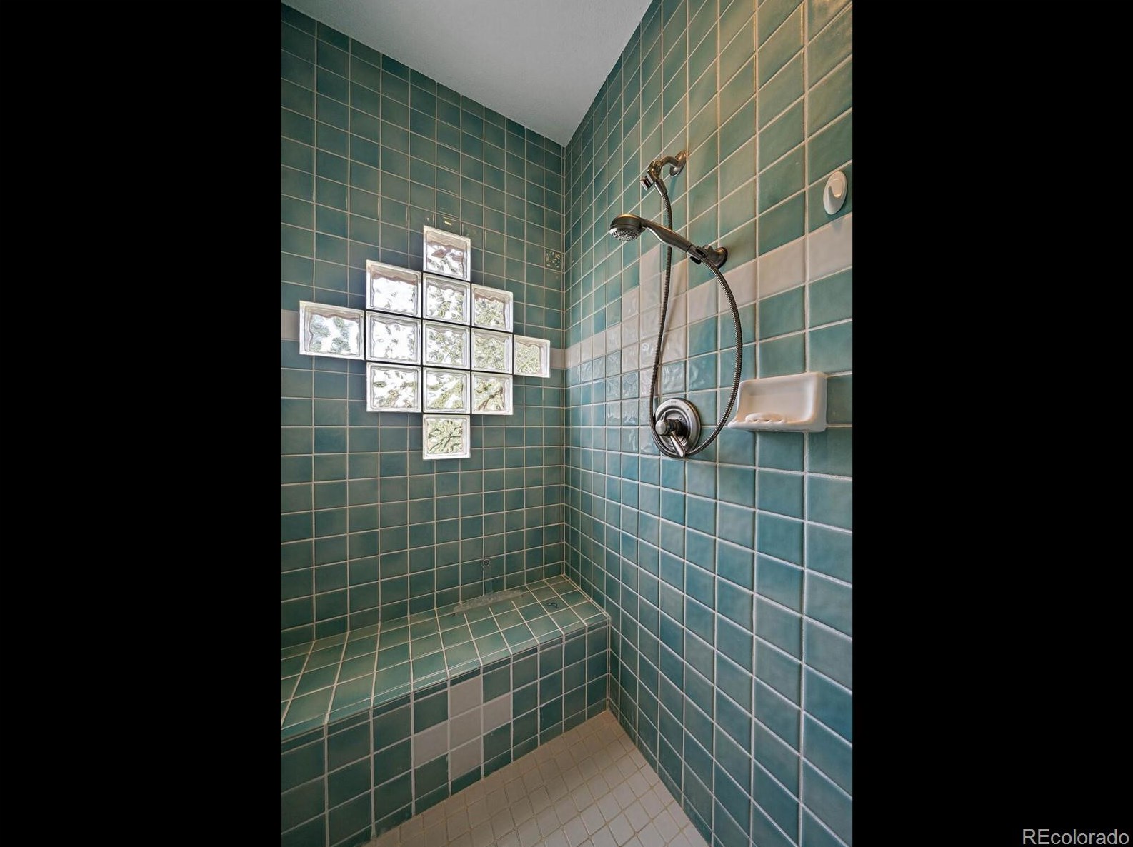 10337 Totem Run, Littleton CO 80125-9009 exterior