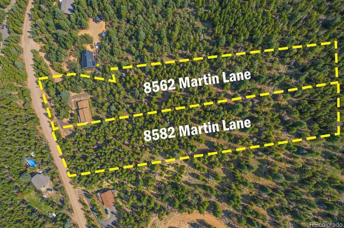 8562 Martin Ln, Conifer, CO 80433