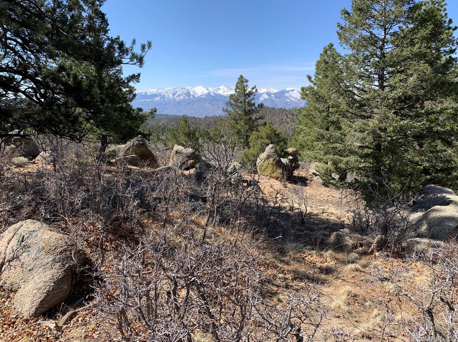 2405 Basin Dr, Cotopaxi, CO