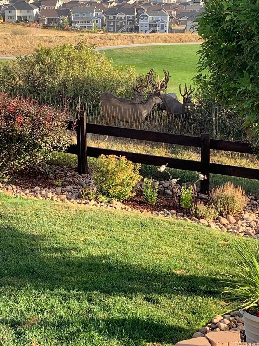 1947 Rose Petal Ct, Castle Rock CO 80109-3540 exterior