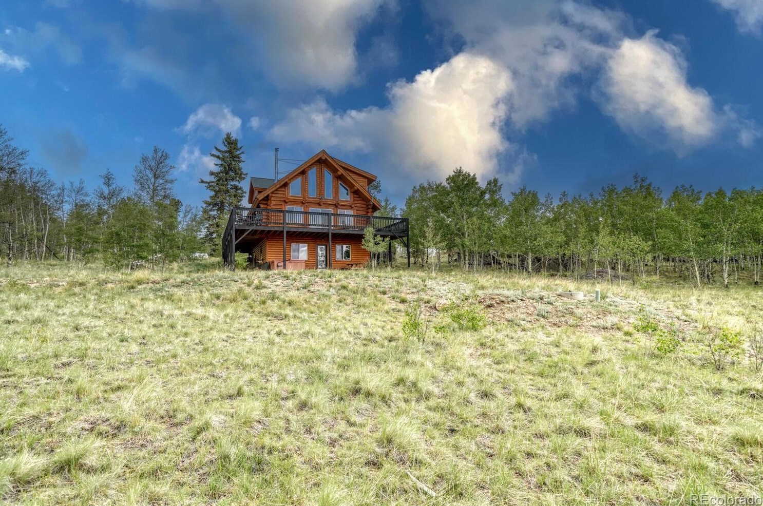 230 Ignacio Way, Fairplay, CO 80456