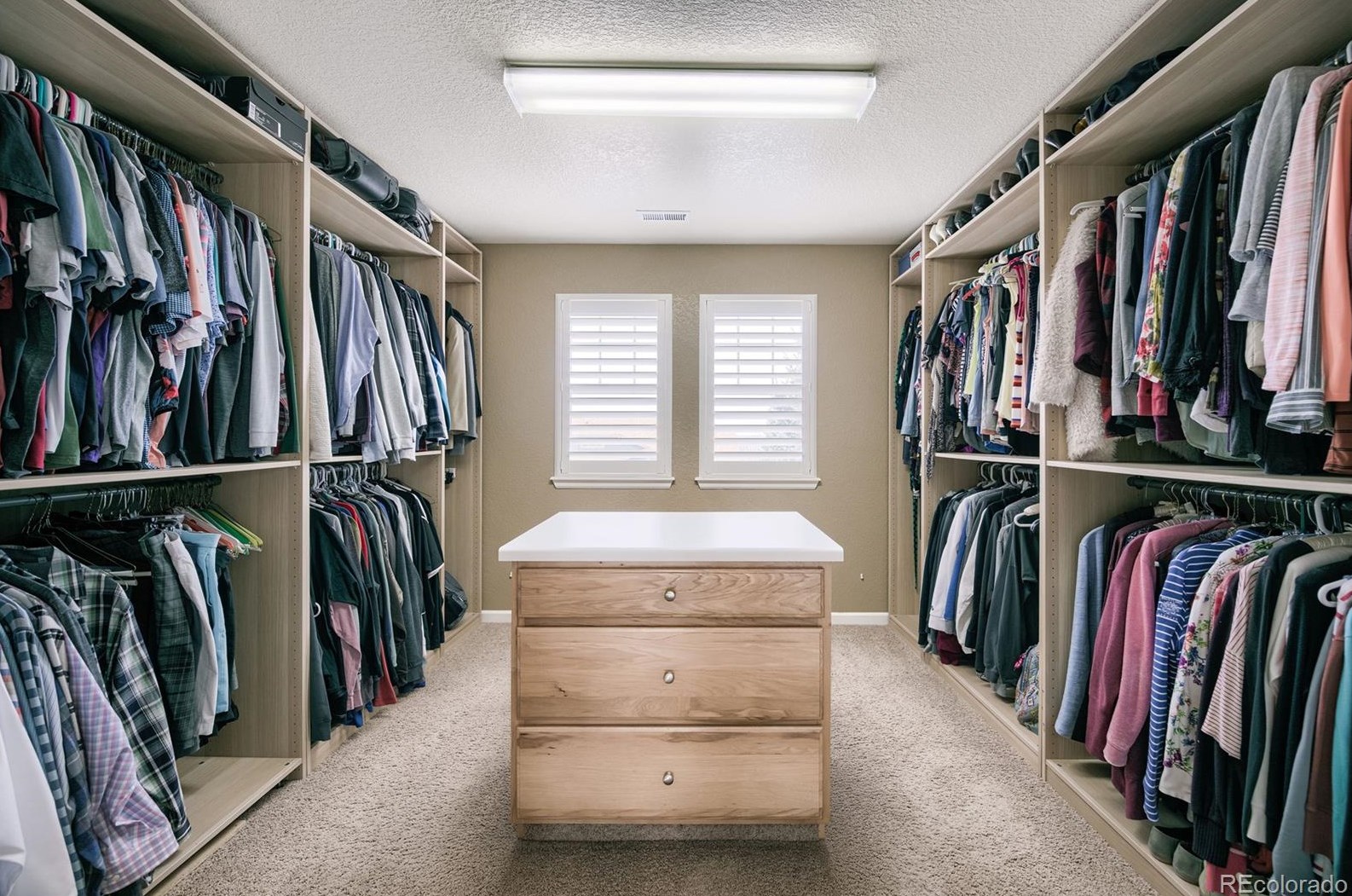 10536 Stable Ln, Littleton CO 80125-7956 exterior