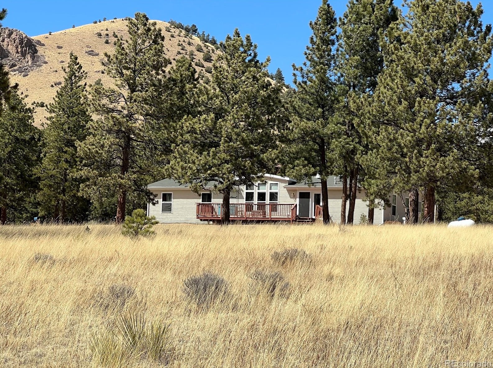 336 Ptarmigan Trail, Horn Creek, CO 81252