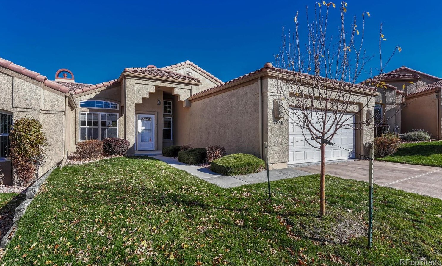 7858 Antigua Pt, Colorado Springs, CO 80920-4303