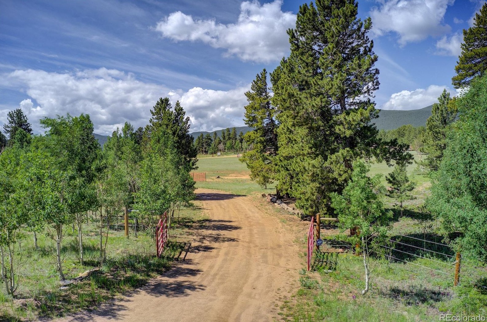 597 Clark Rd, Bailey, CO 80421-1214
