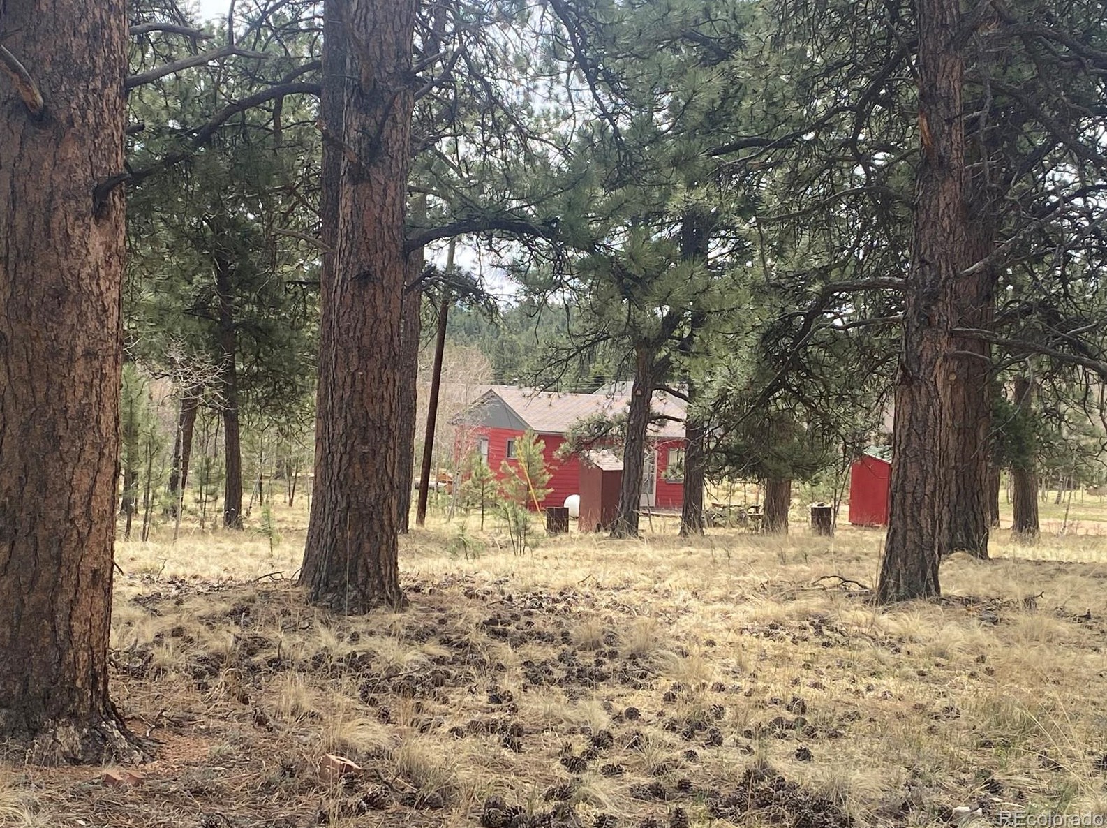 5 Gray St, Bailey, CO 80421