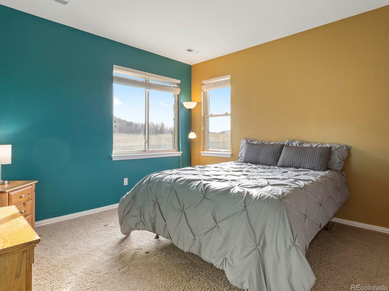 4587 High Spg Rd, Castle Rock CO 80104-7718 exterior