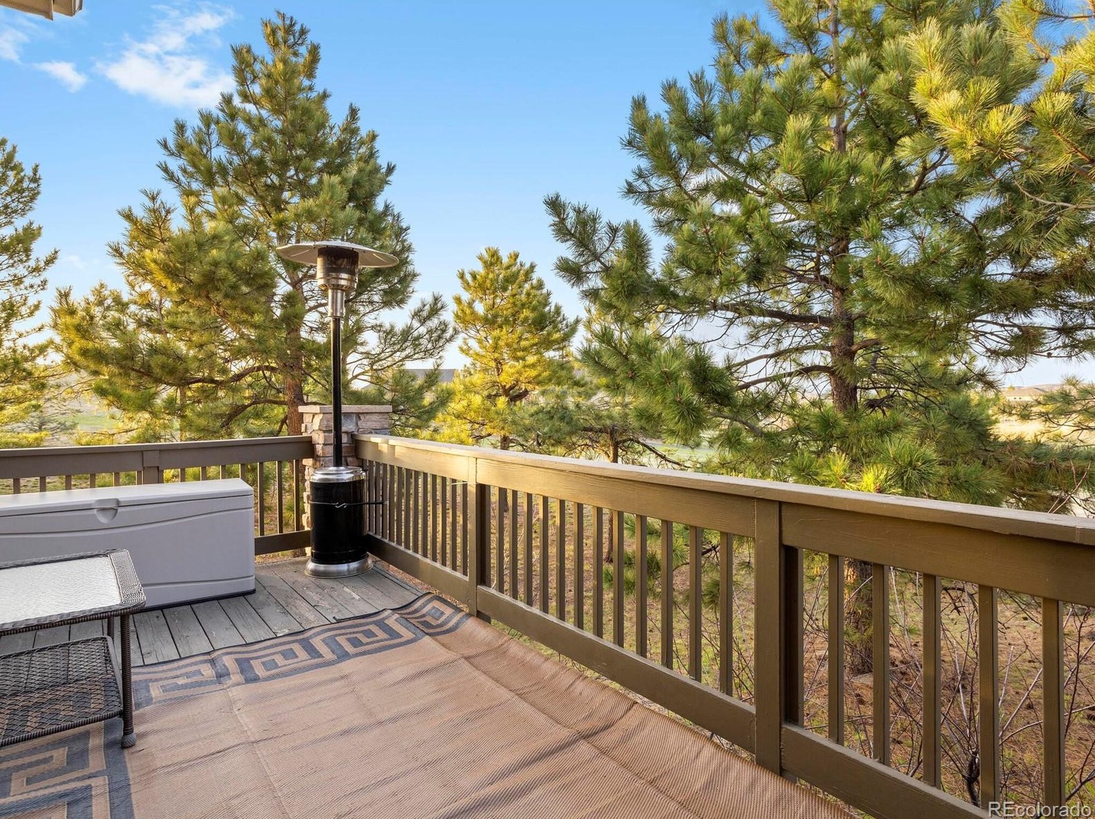 4587 High Spg Rd, Castle Rock CO 80104-7718 exterior