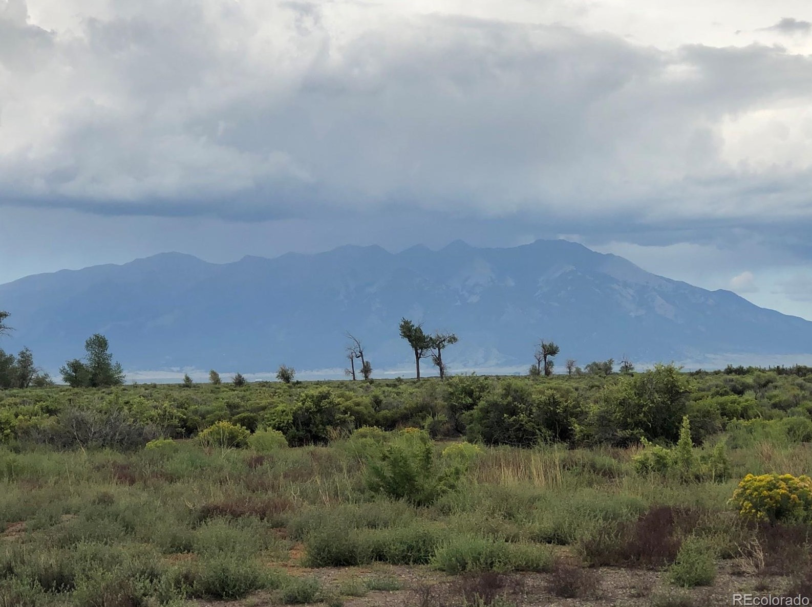 499 County Road 112, Alamosa, CO 81101-9629