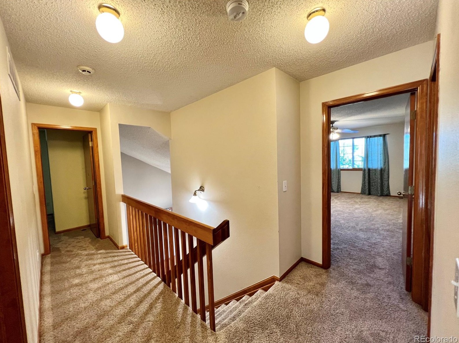 876 Timbervale Trl, Littleton CO 80129-2601 exterior