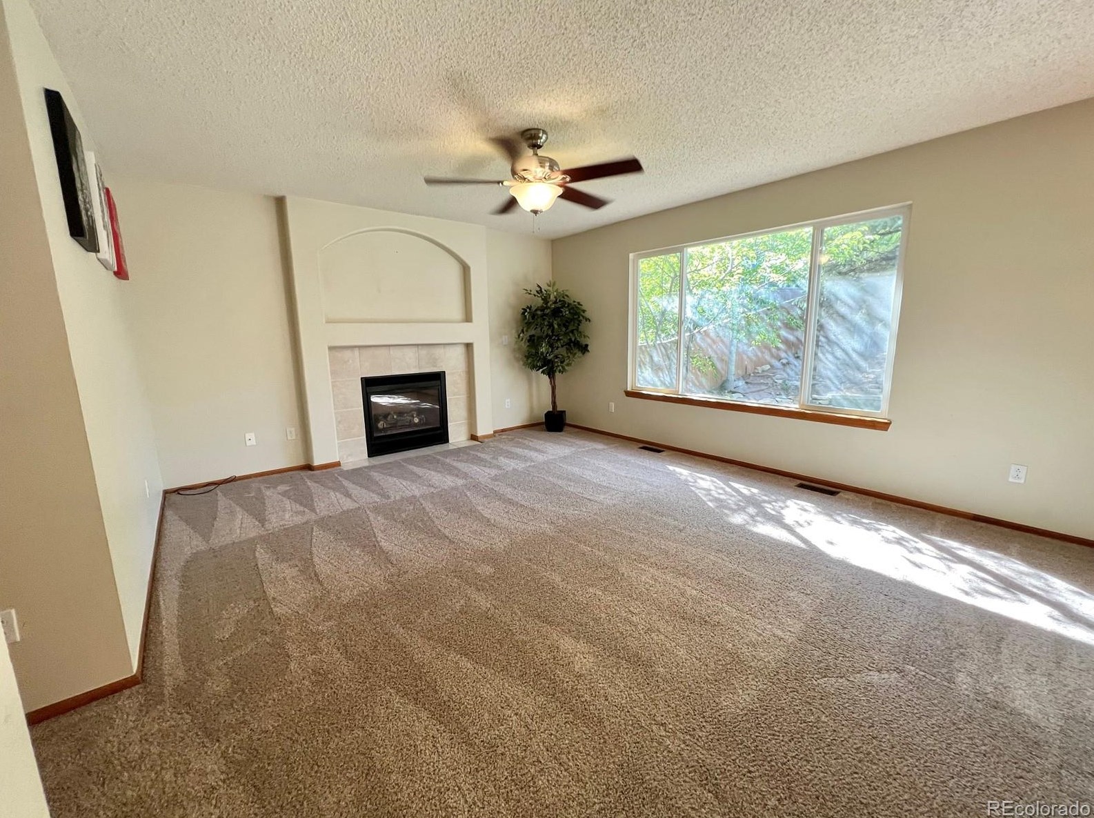 876 Timbervale Trl, Littleton CO 80129-2601 exterior