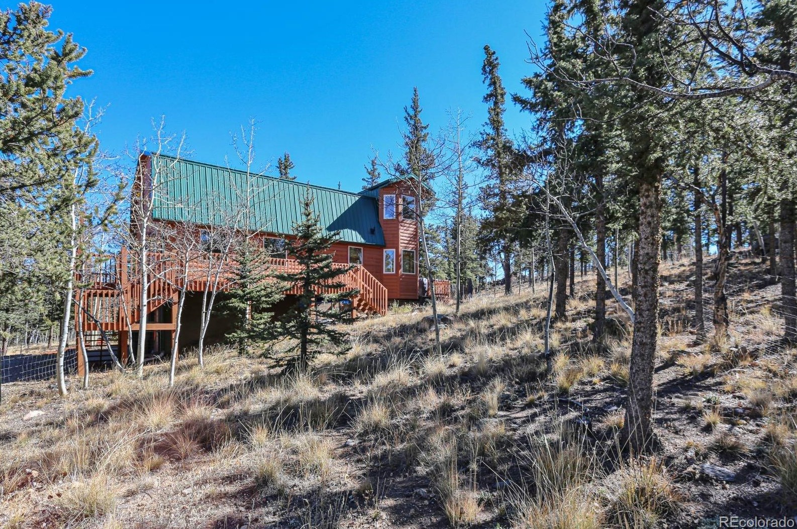 314 Persian Way, Fairplay, CO 80456