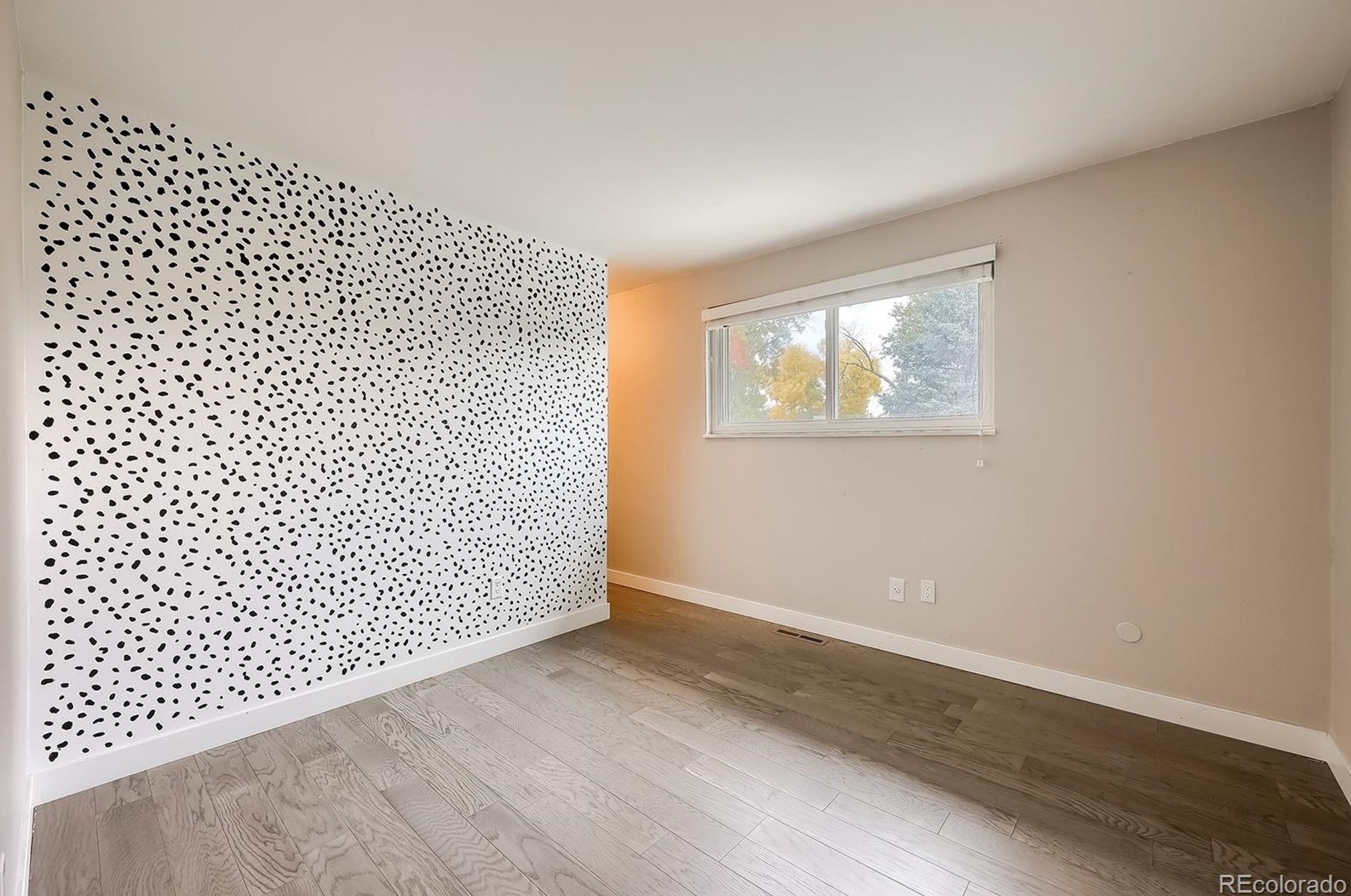 6716 Jay St, Arvada CO  80003-4148 exterior