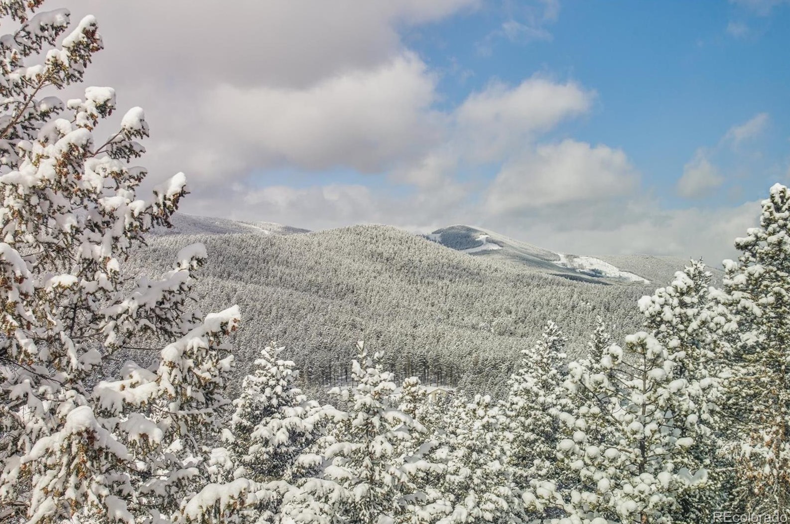 9085 Jill Dr, Conifer, CO 80433