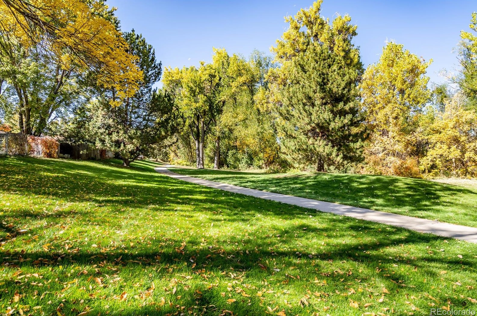 13795 68th Dr, Arvada, CO 80004-1156
