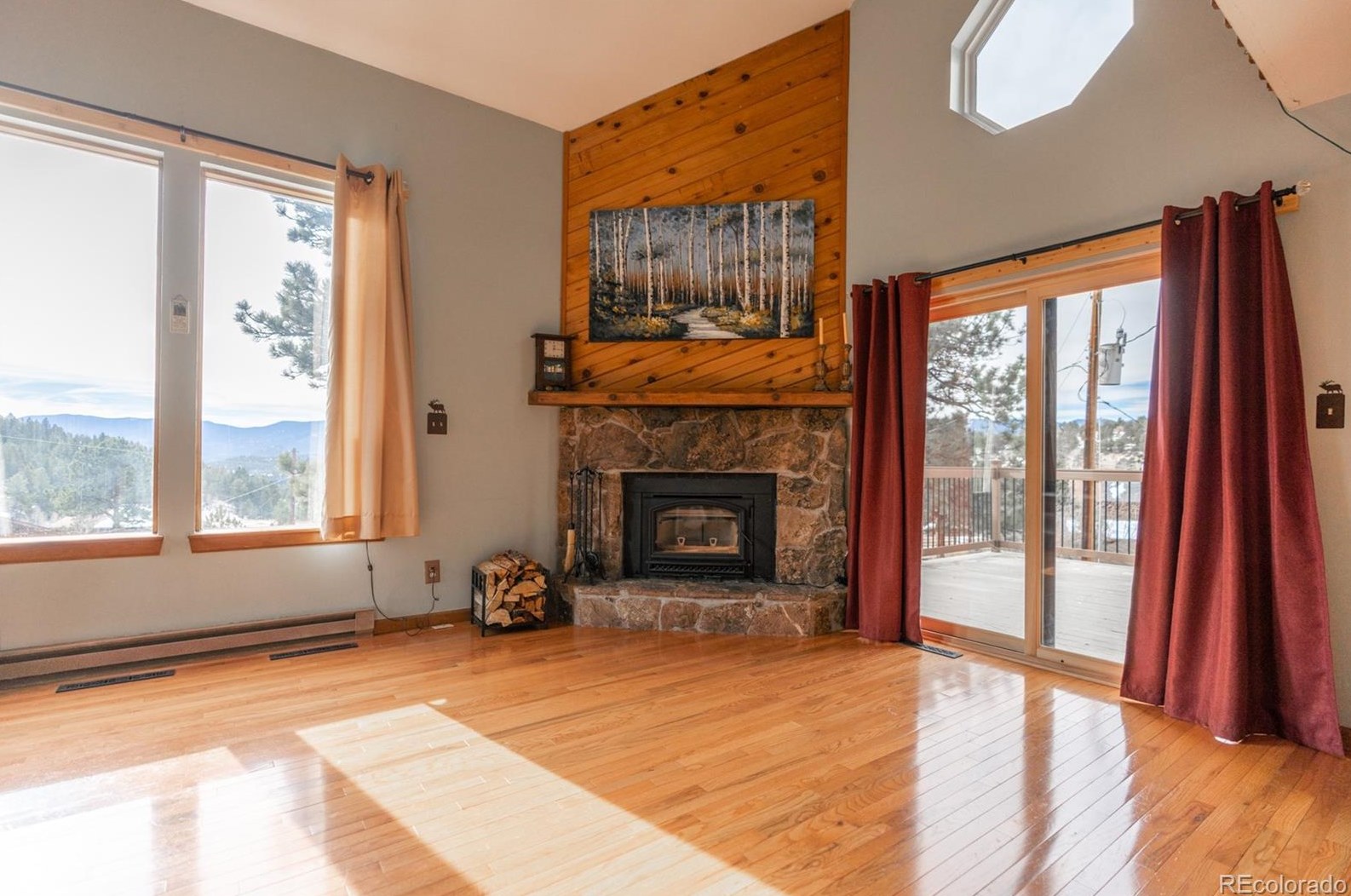 16 Sunlight Ln, Bailey, CO 80421-2300