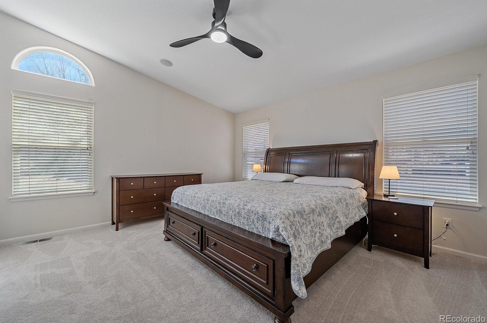 5617 Cheetah Chase, Littleton CO  80124-9592 exterior