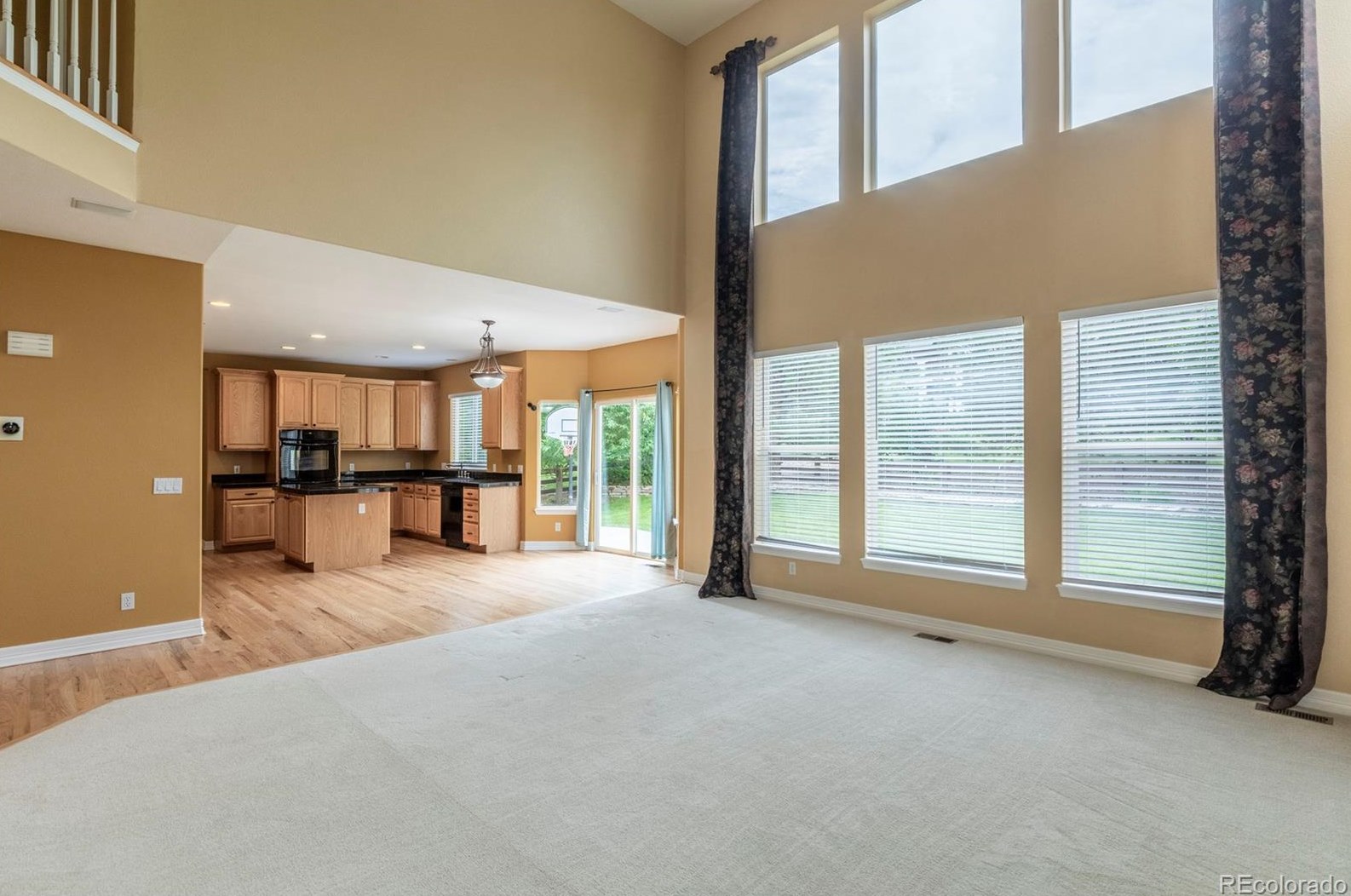 3211 Coyote Hills Ct, Castle Rock CO 80109-7933 exterior