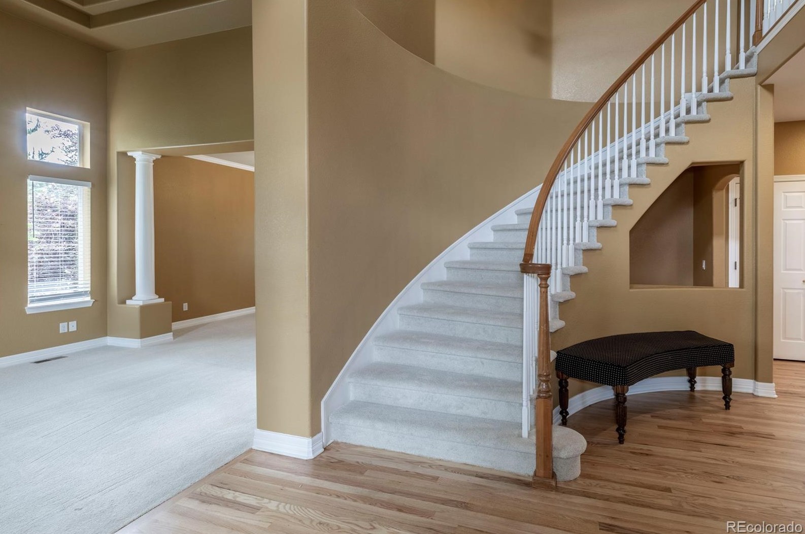 3211 Coyote Hills Ct, Castle Rock CO 80109-7933 exterior